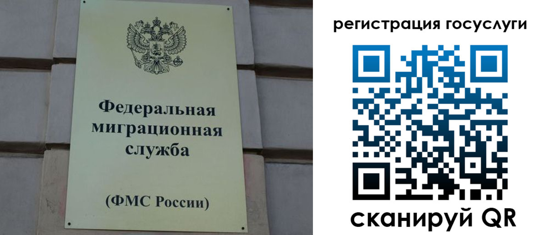 временная регистрация поиск в Старой Купавне